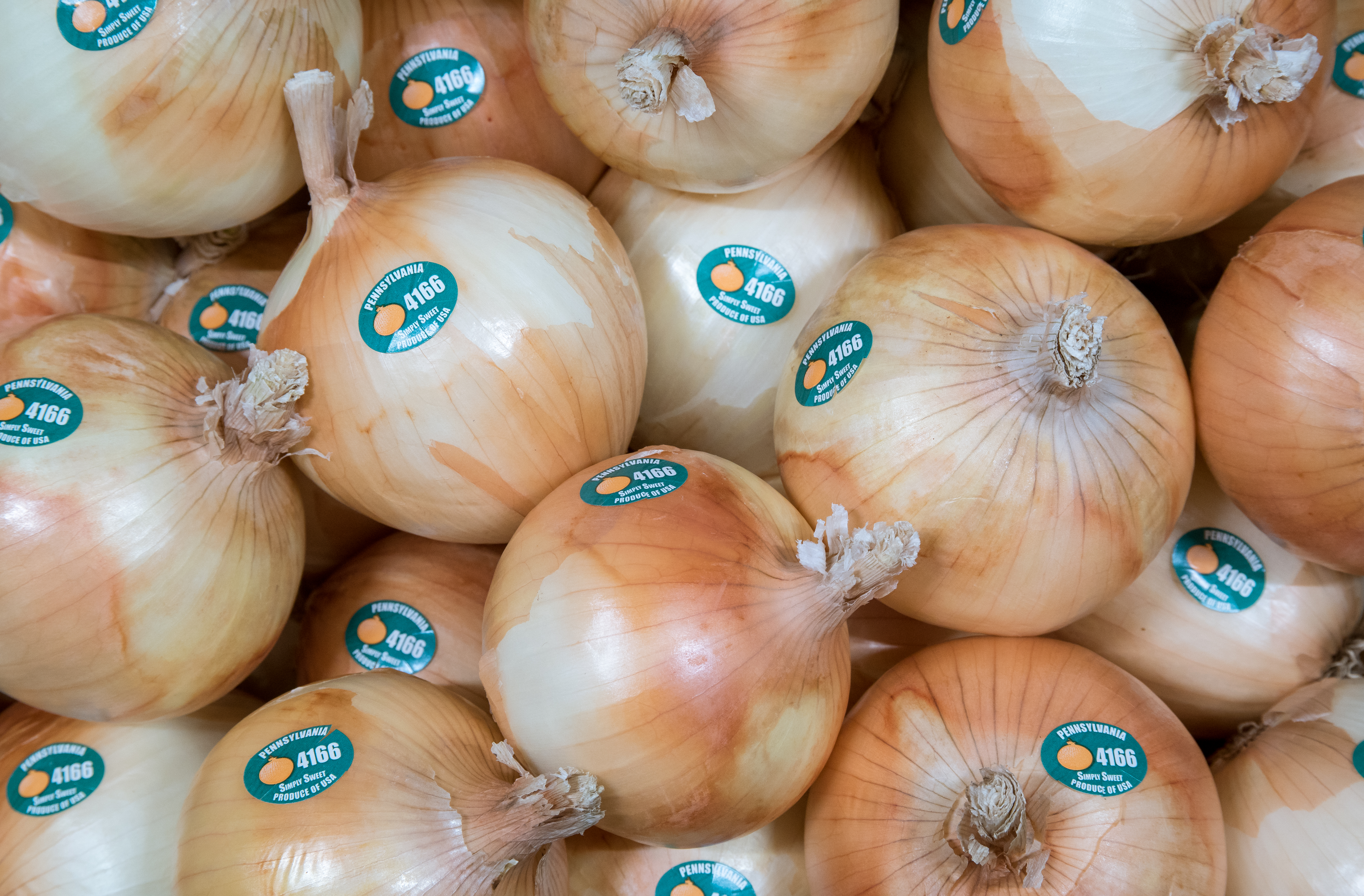 Jumbo 40lb Onions
